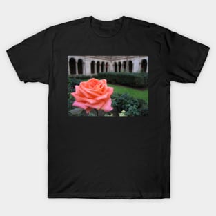 Rose. Cloisters of Basilica di San Paolo Fuori le Mura, Rome, Italy T-Shirt